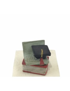 12 Statuina pc laurea