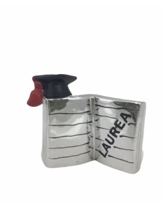 12 Statuina libro laurea