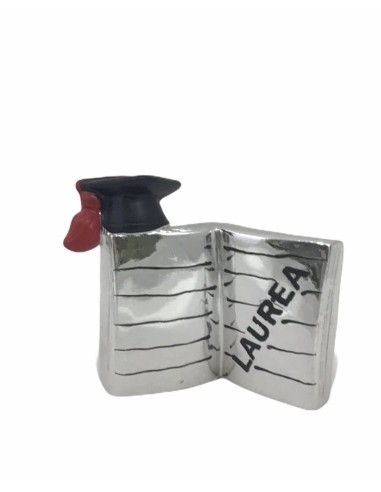 12 Statuina libro laurea