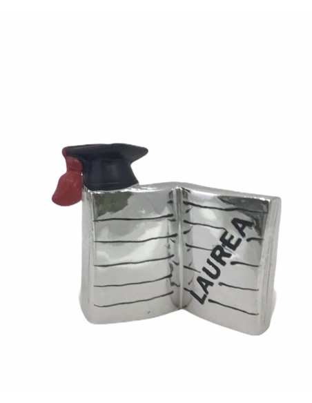 12 Statuina libro laurea