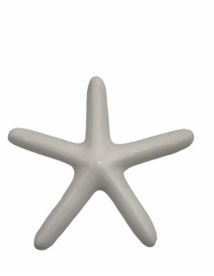 12 Statuina stella marina
