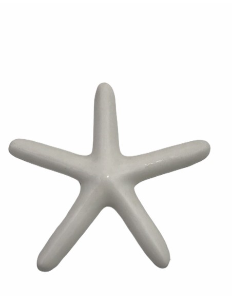 12 Statuina stella marina