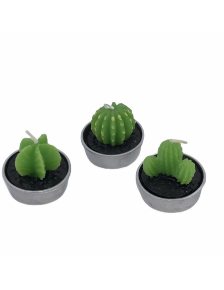 24 Candele cactus
