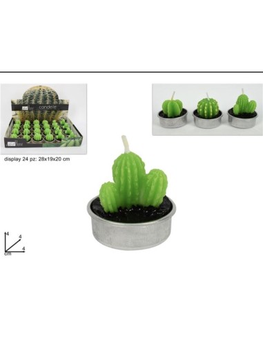 24 Candele cactus