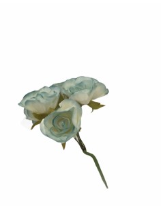 6 Rose decorative celeste
