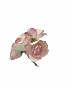 6 Rose decorative rosa