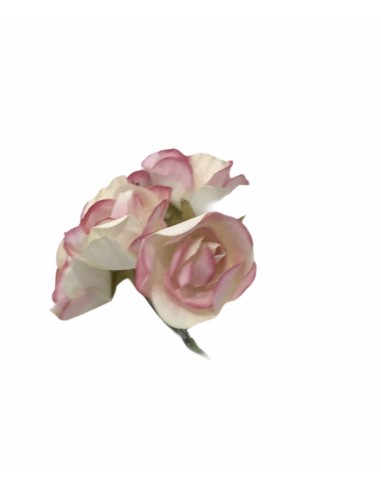 6 Rose decorative rosa