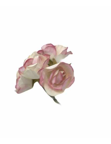 6 Rose decorative rosa