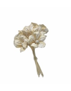 6 Margherite decorative crema