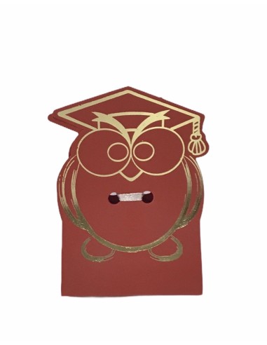10 Scatole gufo laurea