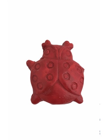 12 Gesso coccinella rossa