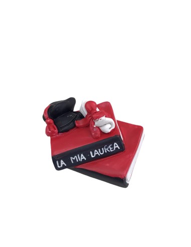 12 Magnete libro laurea