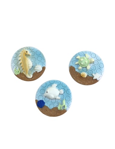 12 Magnete tris marino
