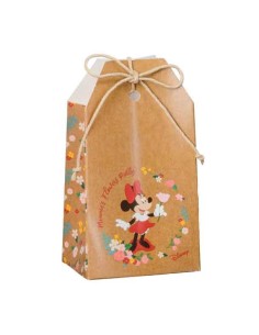 10 Scatole tag minnie