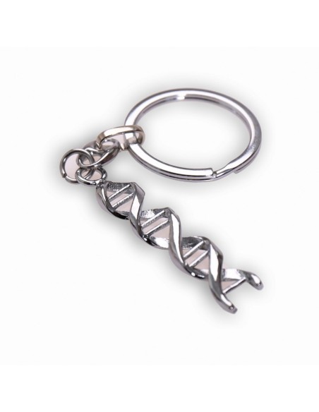 10 Portachiavi dna