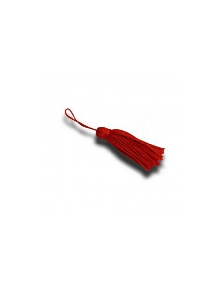 10 Portachiavi dente
