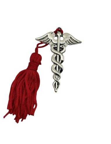 12 Ciondoli laurea in  farmacia
