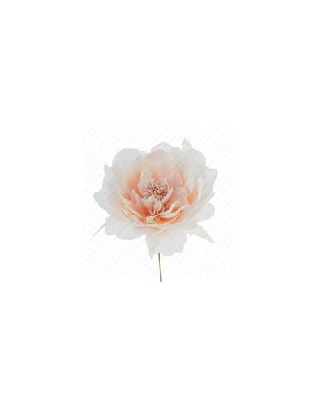 12 Fiori decorativi cipria