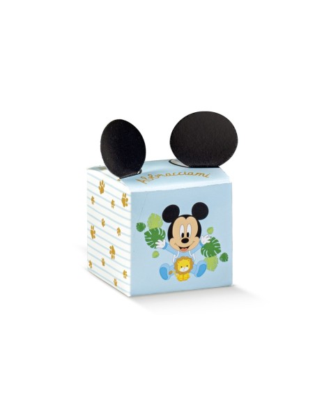 10 Scatole cubo topolino