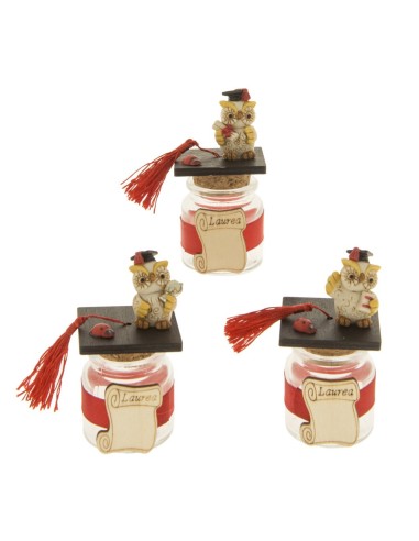 6 Barattoli gufo laurea