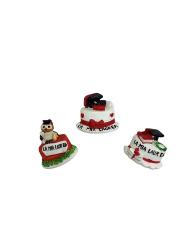 12 Magnete torta laurea