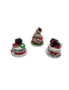 12 Statuina torta laurea