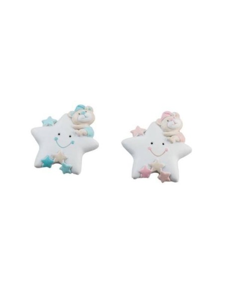 12 Magnete stella con orso celeste