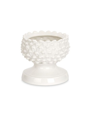 3 Vaso portapianta pigna bianca