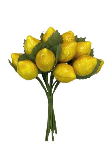 Limoni decorativi cm2