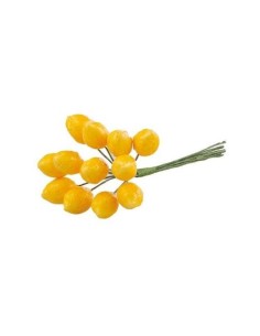 Limoni decorativi cm2