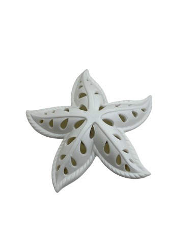 Stella marina con led