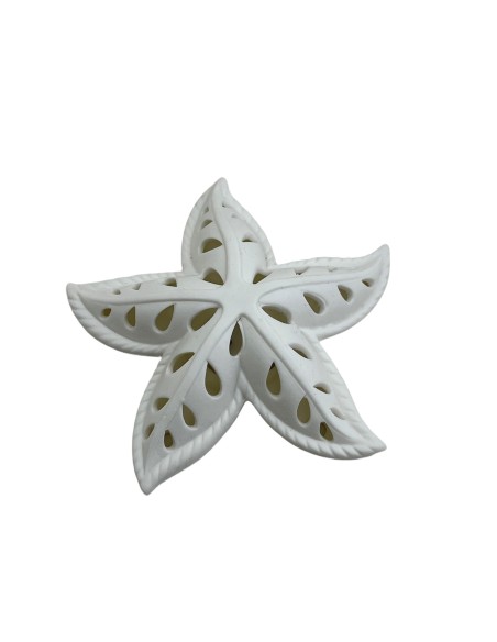 Stella marina con led
