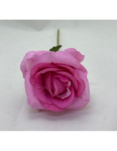 10 Rose rosa