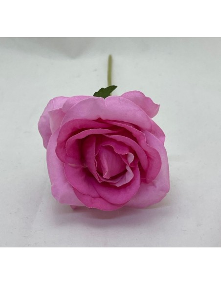 10 Rose rosa