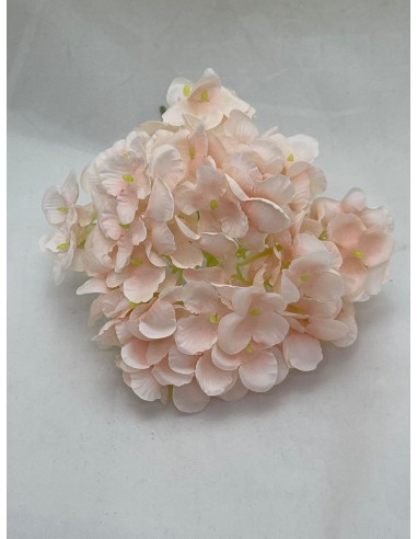Bouquet Ortensia cipria