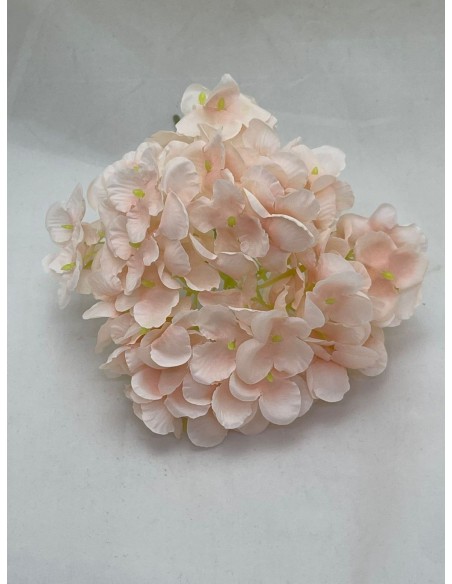 Bouquet Ortensia cipria