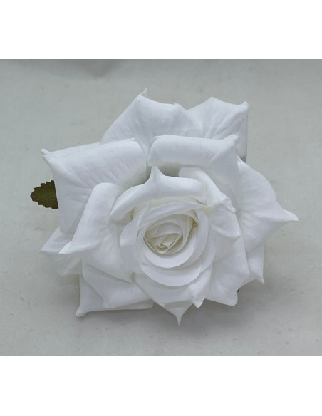 6 Rose bianche