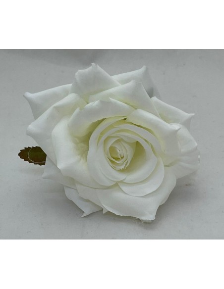 6 Rose crema