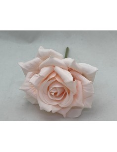 6 Rose cipria