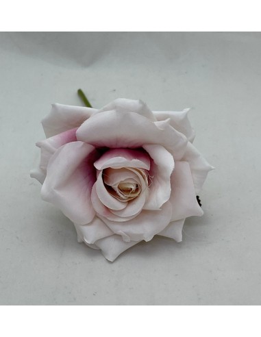 6 Rose old pink