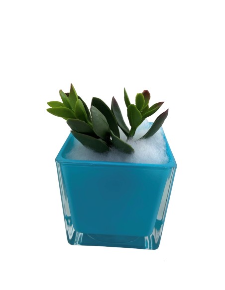 12 Vaso portapianta vetro 8x8 turchese