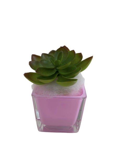 12 Vaso portapianta vetro 6X6 rosa