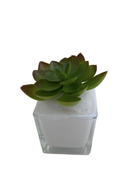 12 Vaso portapianta vetro 6X6 bianco