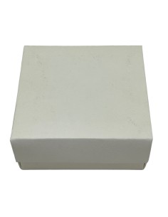 10 Scatole panna 9X9X5