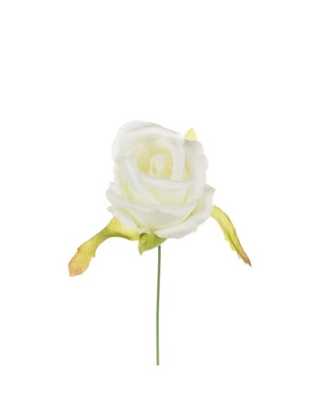 10 Rosa bocciolo bianco