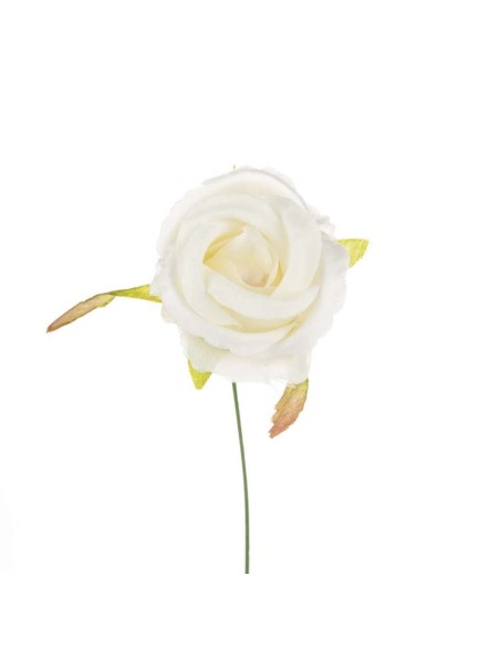 10 Rosa bocciolo panna