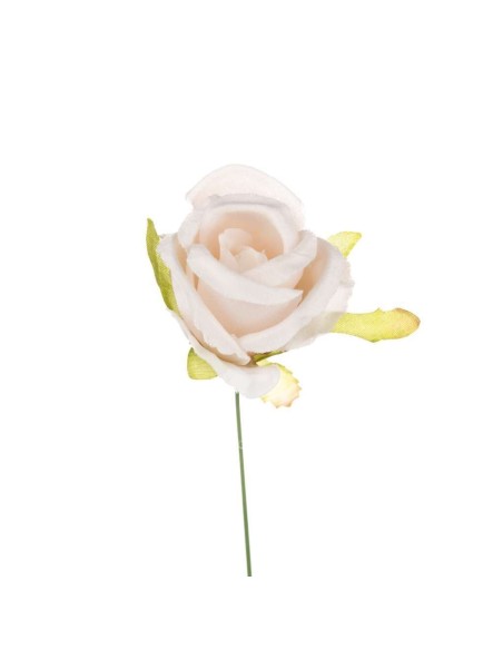 10 Rosa bocciolo cipria