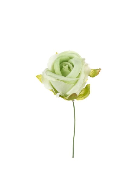 10 Rosa bocciolo verde