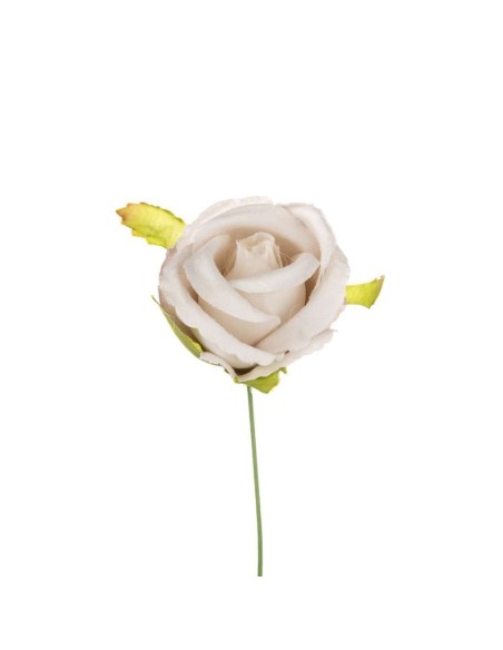 10 Rosa bocciolo oldpink