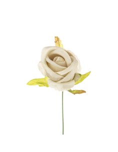 10 Rosa bocciolo tortora